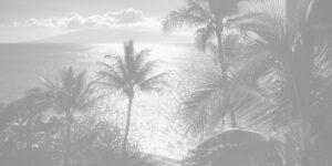 Maui | LN Virtual Marketing